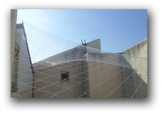 הרחקת יונים במרכז, הרחקת יונים בראשון לציון , הרחקת יונים באשדוד, הרחקת יונים ברחובות, הרחקת יונים ביבנה הרחקת יונים במרכז, הרחקת יונים בראשון לציון , הרחקת יונים באשדוד, הרחקת יונים ברחובות, הרחקת יונים ביבנה