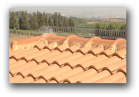 הרחקת יונים במרכז, הרחקת יונים בראשון לציון , הרחקת יונים באשדוד, הרחקת יונים ברחובות, הרחקת יונים ביבנה הרחקת יונים במרכז, הרחקת יונים בראשון לציון , הרחקת יונים באשדוד, הרחקת יונים ברחובות, הרחקת יונים ביבנה