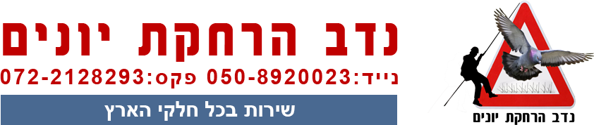 הרחקת יונים במרכז | הרחקת יונים בראשון לציון | הרחקת יונים באשדוד | הרחקת יונים ברחובות |הרחקת יונים ביבנה | דוקרנים להרחקת יונים | עבודות סנפלינג